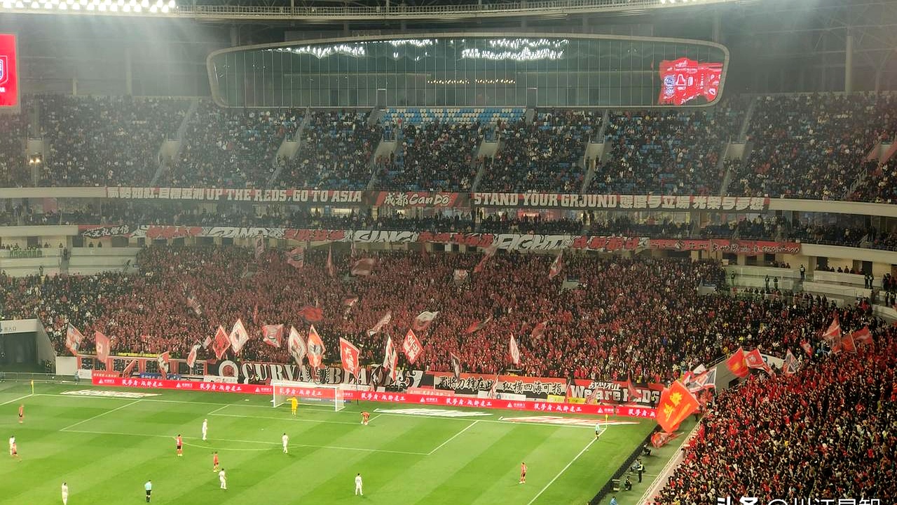 观赛人群拼力呐喊参与热情高涨的简单介绍