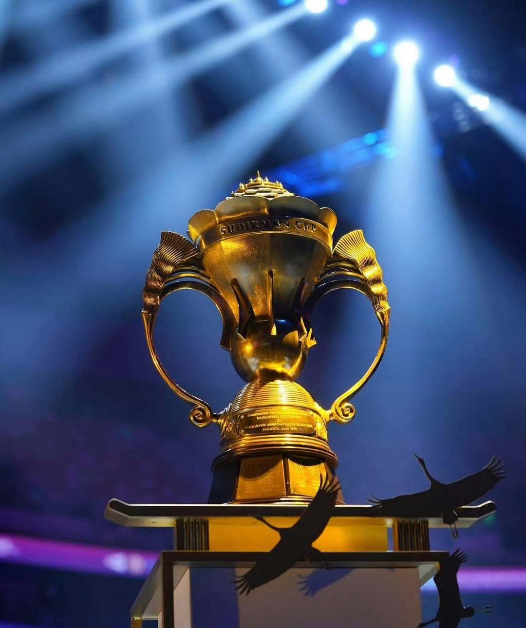 胜券在握，运动员夺冠铸就辉煌