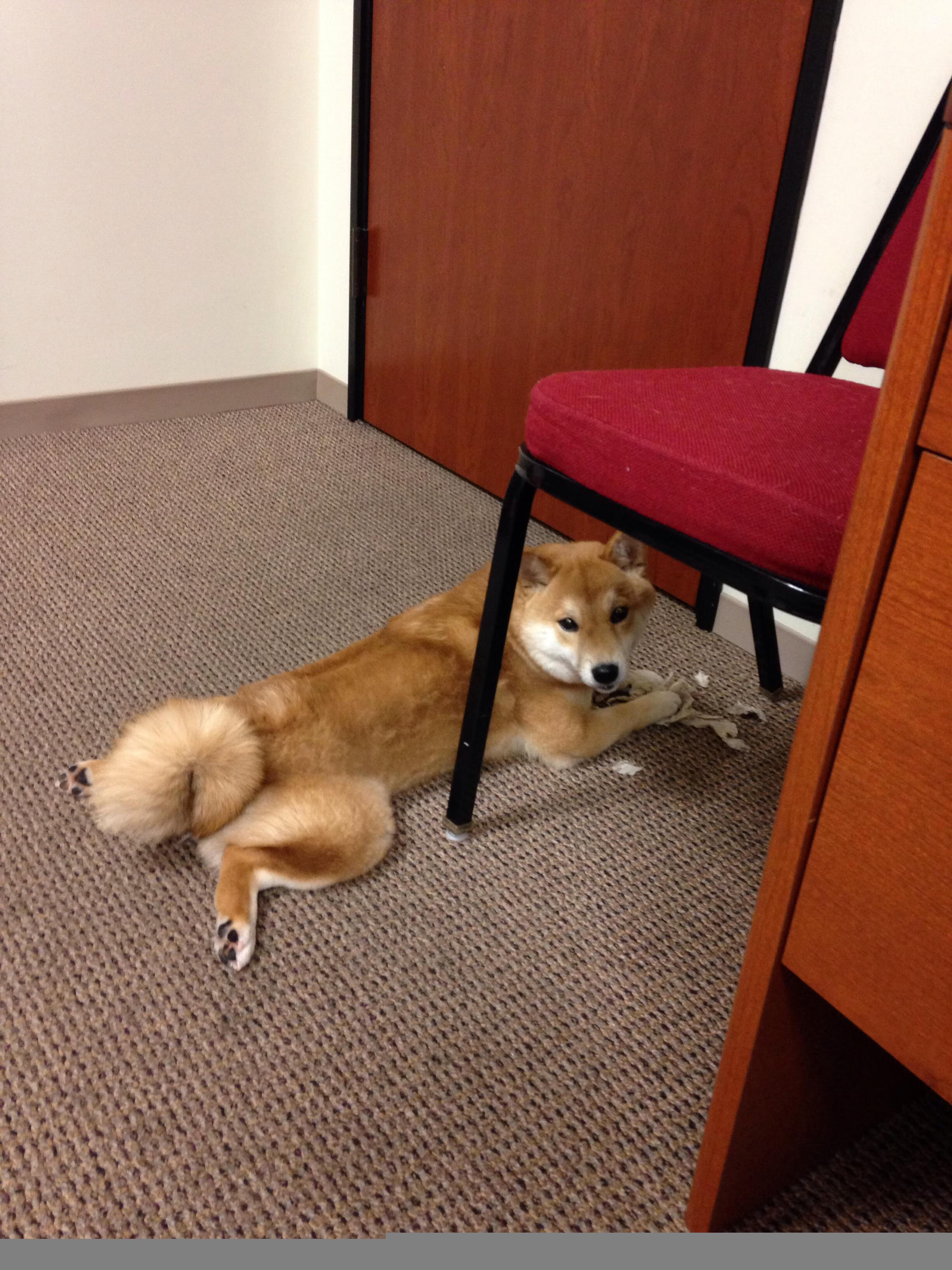 伯纳乌版涡轮增压，F1年度争冠之夜的卡马文加时刻