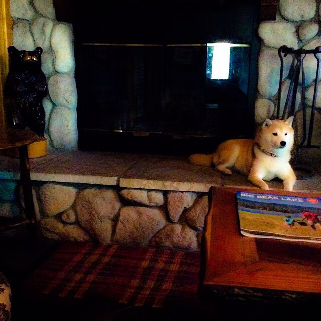 哥伦比亚争冠战击败罗马,迪马利亚当选关键先生