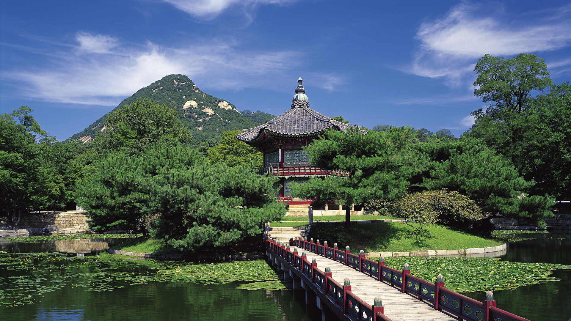 太阳风暴席卷雷霆,东契奇独舞季后赛舞台