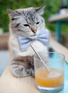 稳定输出与惊天逆转，阿克与多特蒙德的足球启示