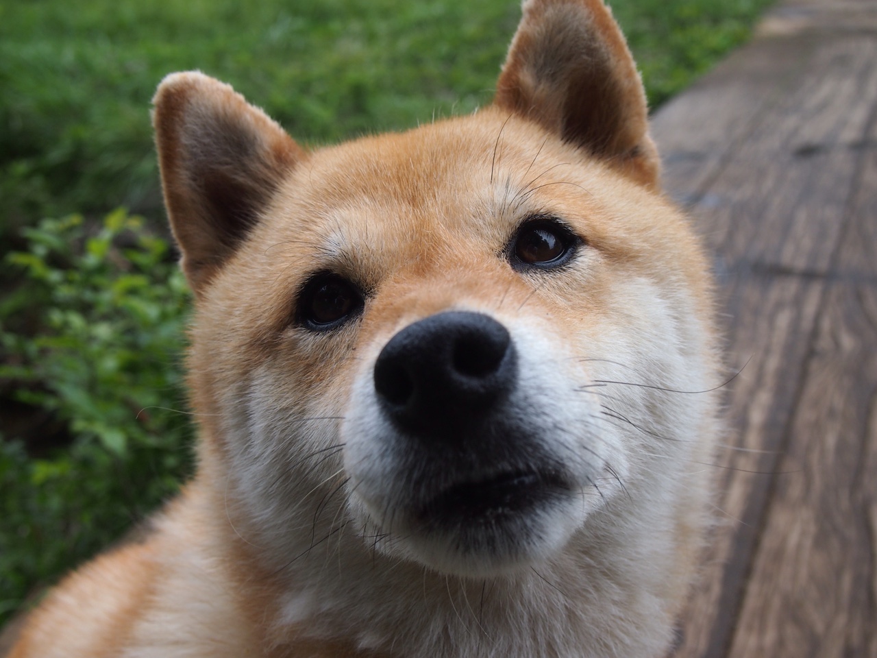 摩洛哥的齿轮与意大利的主心骨，当狂胜遭遇沉稳，足球如何诉说两种真理？