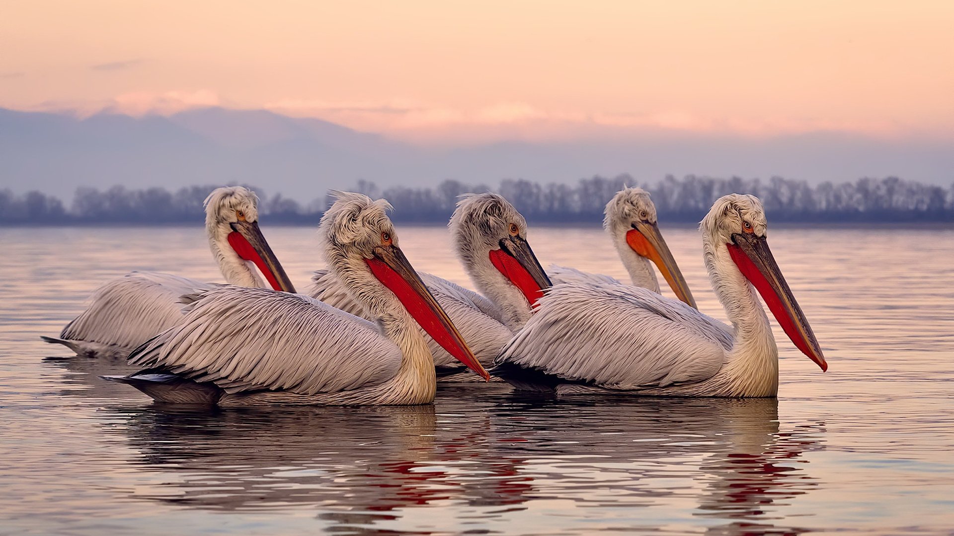 魔术队的铁壁与独行侠的魔杖，当团队艺术遇上巨星锋芒