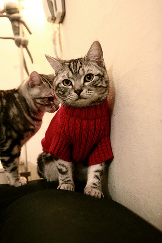 冰与火的碰撞，当太阳灼伤华南虎，大场面先生正在重新定义篮球